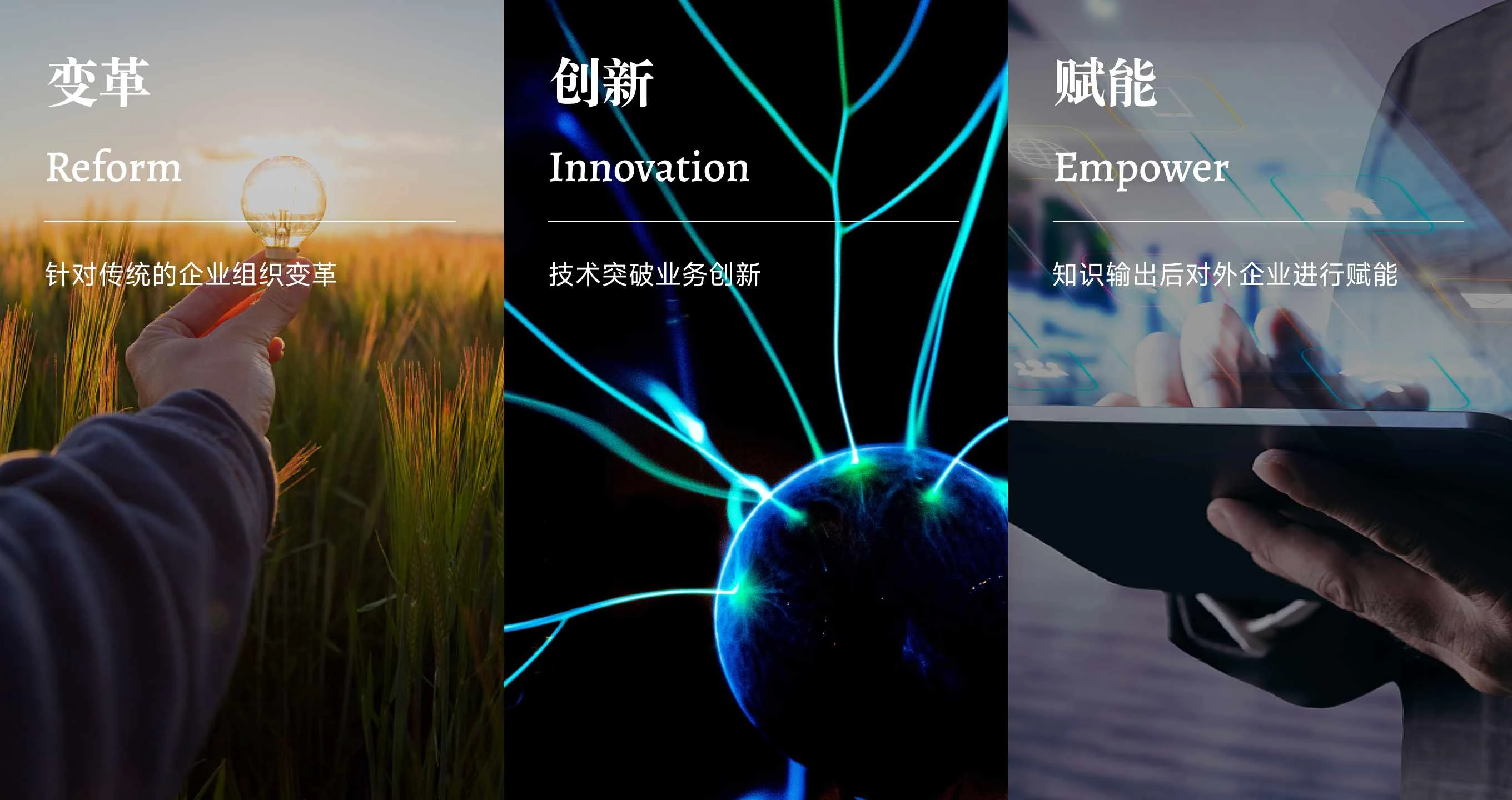 凯亚学院品牌洞察 2