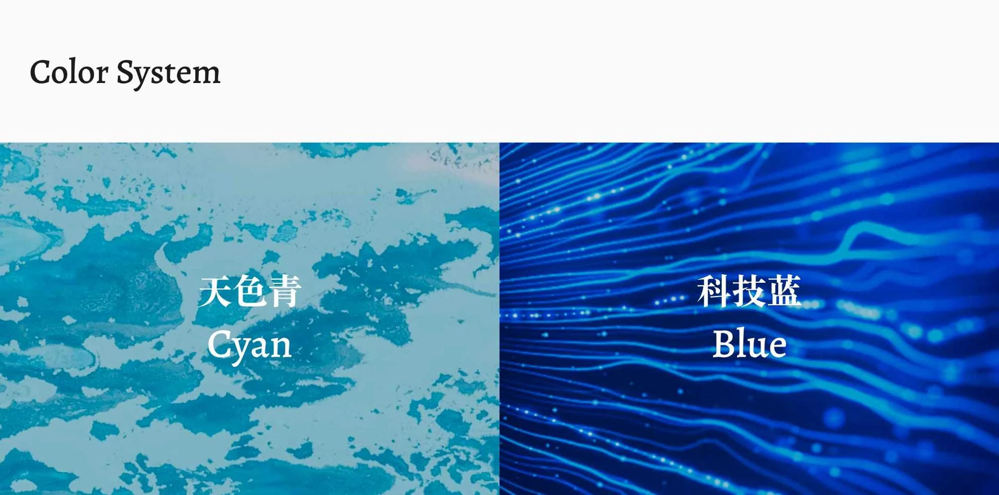 凯亚学院品牌系统 6